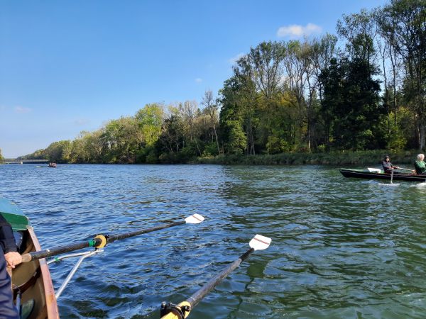 Donau bei Ulm 2021