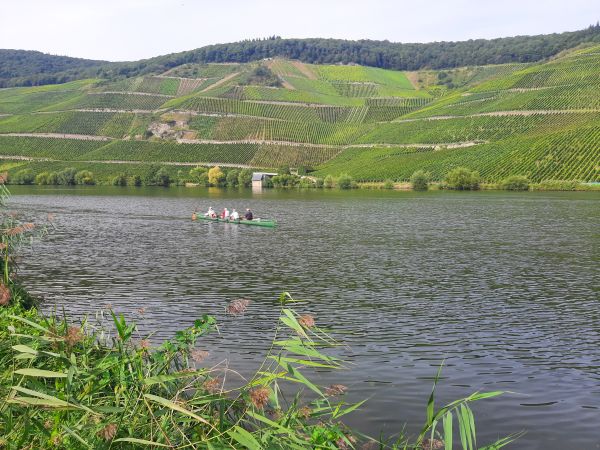 E-Dreier auf der Mosel 2021