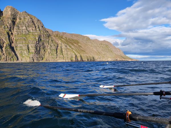 Hohe Klippen an Islands Nordkste 2022