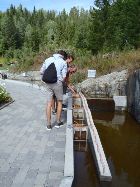 Kinder spielen am Telemarkkanalmodell 2018