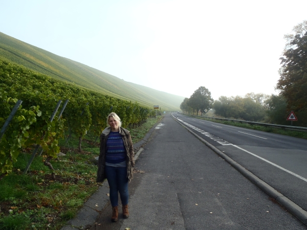 Landienst in den Weinbergen MDK 2015