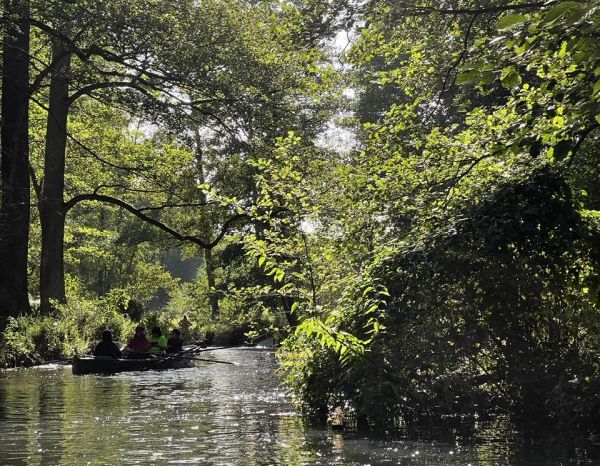 Ruderboot auf Spreewaldfliess 2022