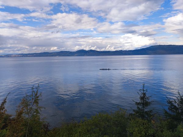 Ruderboot auf dem Genfer See 2022