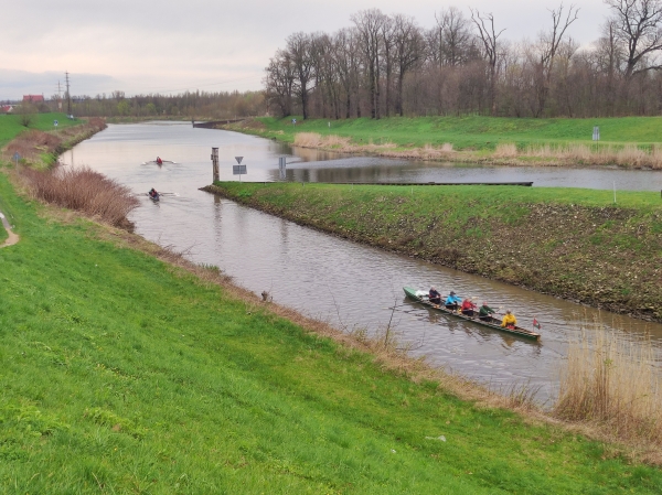 Ruderboote kommen aus der Schleuse Cosel 2024