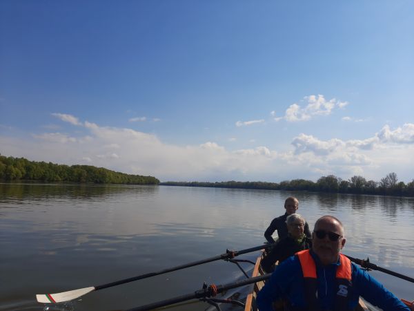 Ruderer auf der Donau 2022