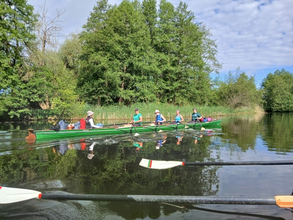 Rudervierer auf der oberen Havel Templin 2024