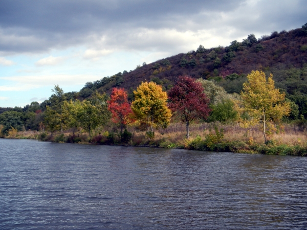 Saale mit Herbstlaub USE2012