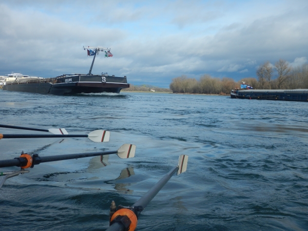 Schiffsverkehr auf dem Rhein Februar 2024