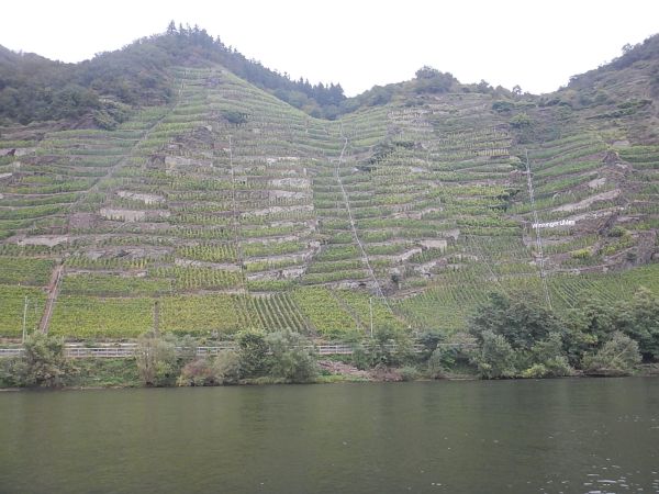 Steile Weinberge Mosel 2021