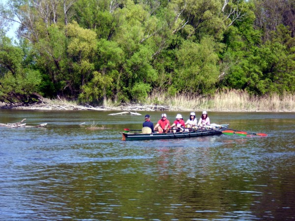 Vierer auf der Mossoni Donau D11