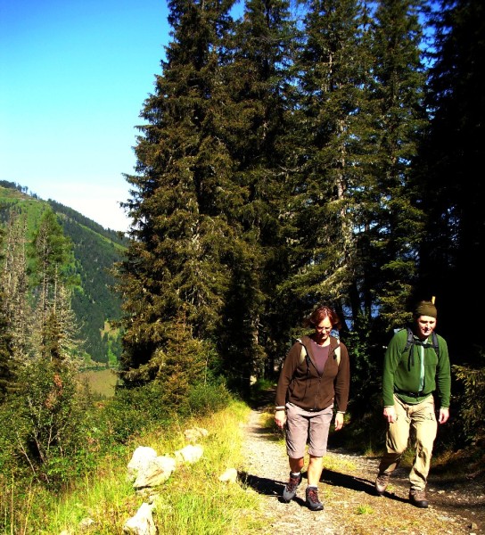 Weg zum Pleschnitzzinken Loipoldhof 2011