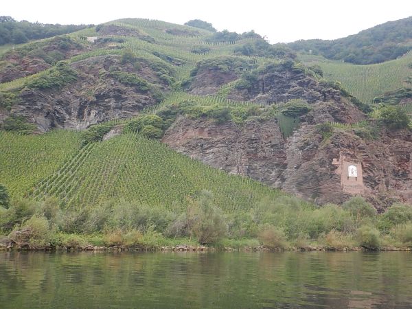 Wein und Felsen Mosel 2021