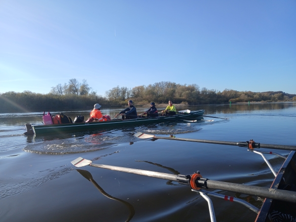 Winterrudern auf der unteren Elbe 2024